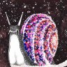 CosmicSnail
